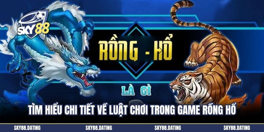 Tìm hiểu chi tiết về luật chơi trong game Rồng Hổ